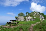 Spettacolo di narcisi e di amici sul Linzone (1392 m) il 12 maggio 2018 - FOTOGALLERY